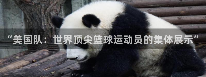 世界杯欧洲区预选赛赛程:“美国队:世界顶尖篮球运动员的集体展示”