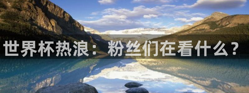 世界杯预赛赛程:世界杯热浪:粉丝们在看什么?