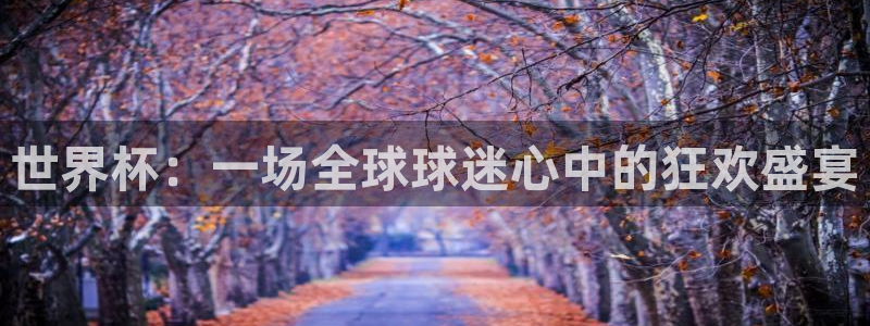 世界杯欧洲预选赛赛程:世界杯:一场全球球迷心中的狂欢盛宴