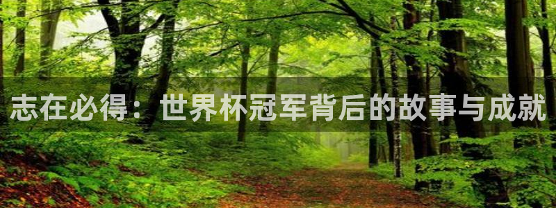 欧洲世预赛赛程表:志在必得:世界杯冠军背后的故事与成就
