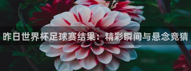 世界杯今年:昨日世界杯足球赛结果:精彩瞬间与悬念竞猜