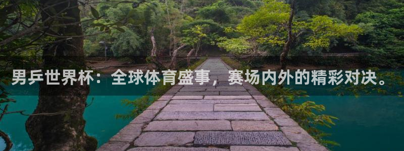 2026世界杯亚洲预选赛:男乒世界杯:全球体育盛事,赛场内外的精彩对决。