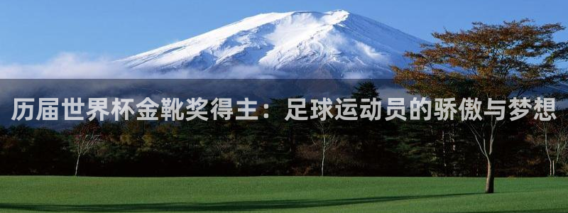 世界杯足球比赛:历届世界杯金靴奖得主:足球运动员的骄傲与梦想