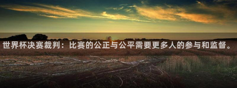 世界杯足球赛:世界杯决赛裁判:比赛的公正与公平需要更多人的参与和监督。