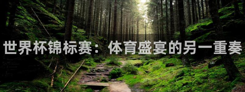 世界杯在线直播:世界杯锦标赛:体育盛宴的另一重奏