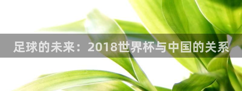世界杯2026比赛时间表:足球的未来:2018世界杯与中国的关系