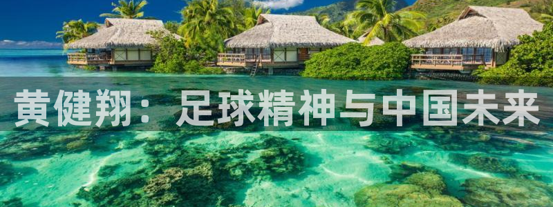 世界杯直播平台:黄健翔:足球精神与中国未来